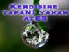 Kendisine tapanı yakan ateş
